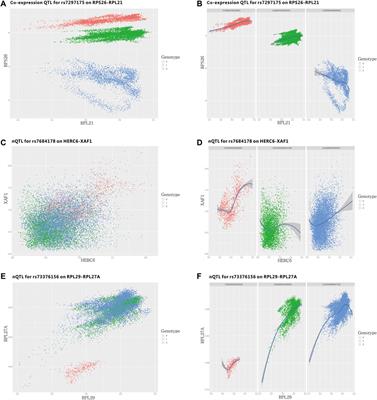 Interpreting Functional Impact of Genetic Variations by Network QTL for Genotype–Phenotype Association Study